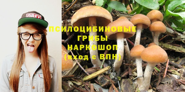 круглые Коряжма