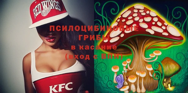 мет Корсаков